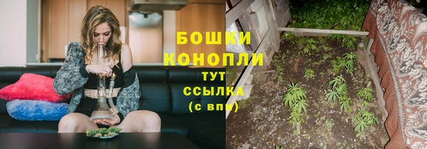 соль ск Вязьма