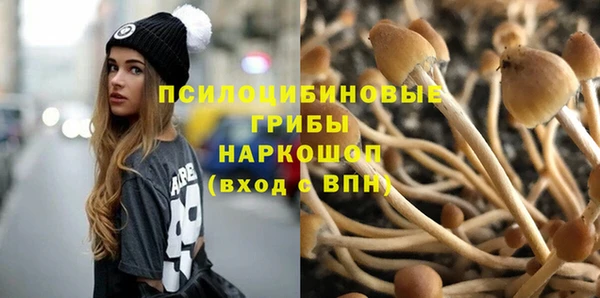 ALPHA-PVP Вяземский