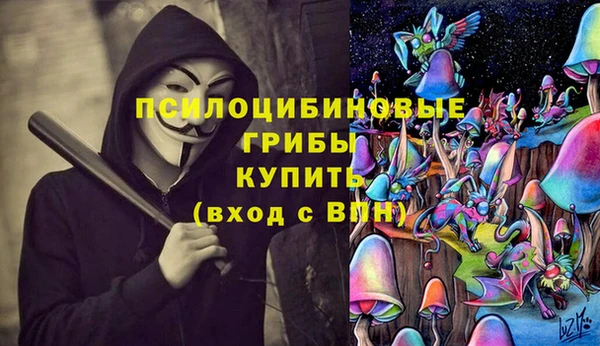 ALPHA-PVP Вяземский